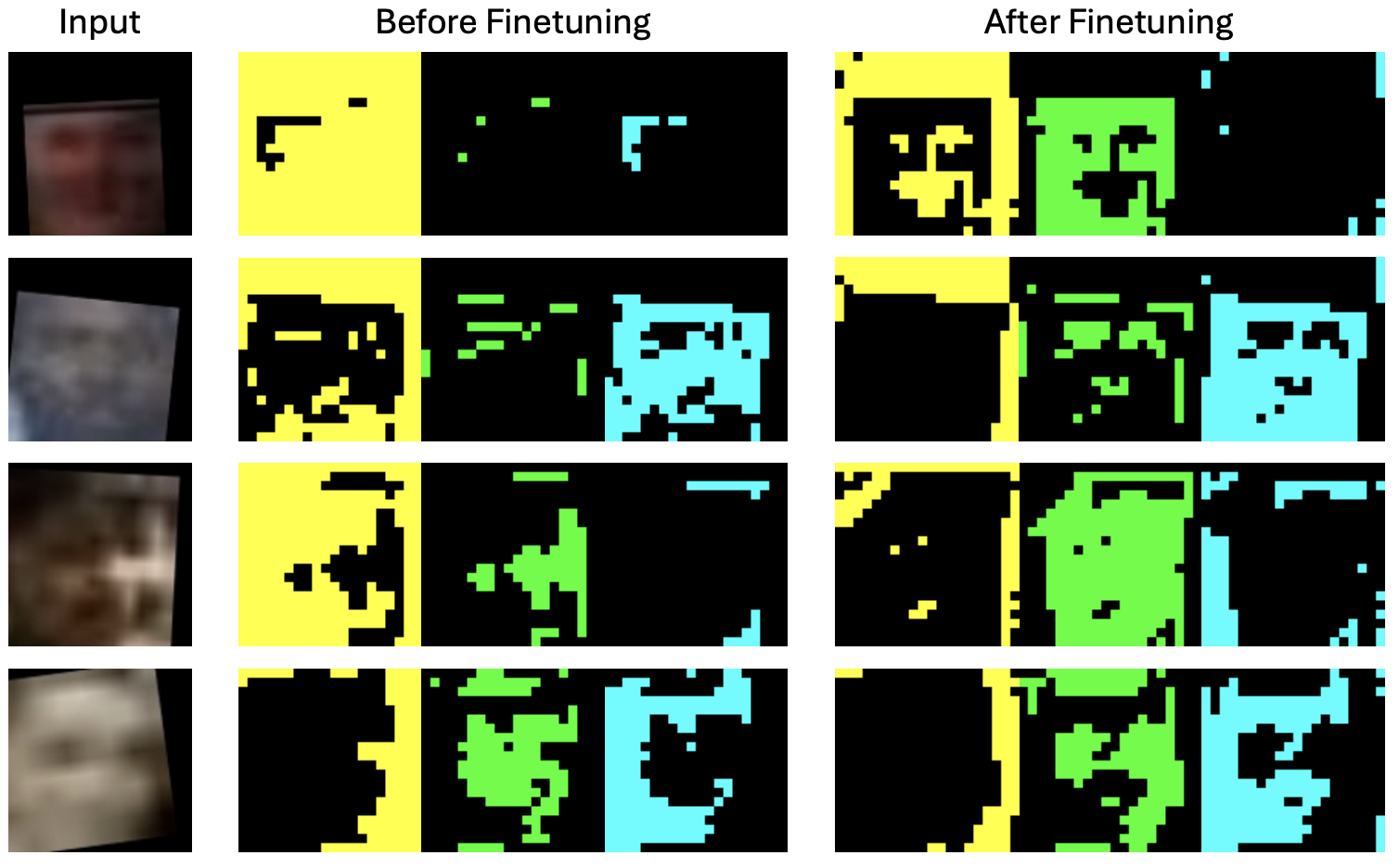 FaceMoE expert activation maps